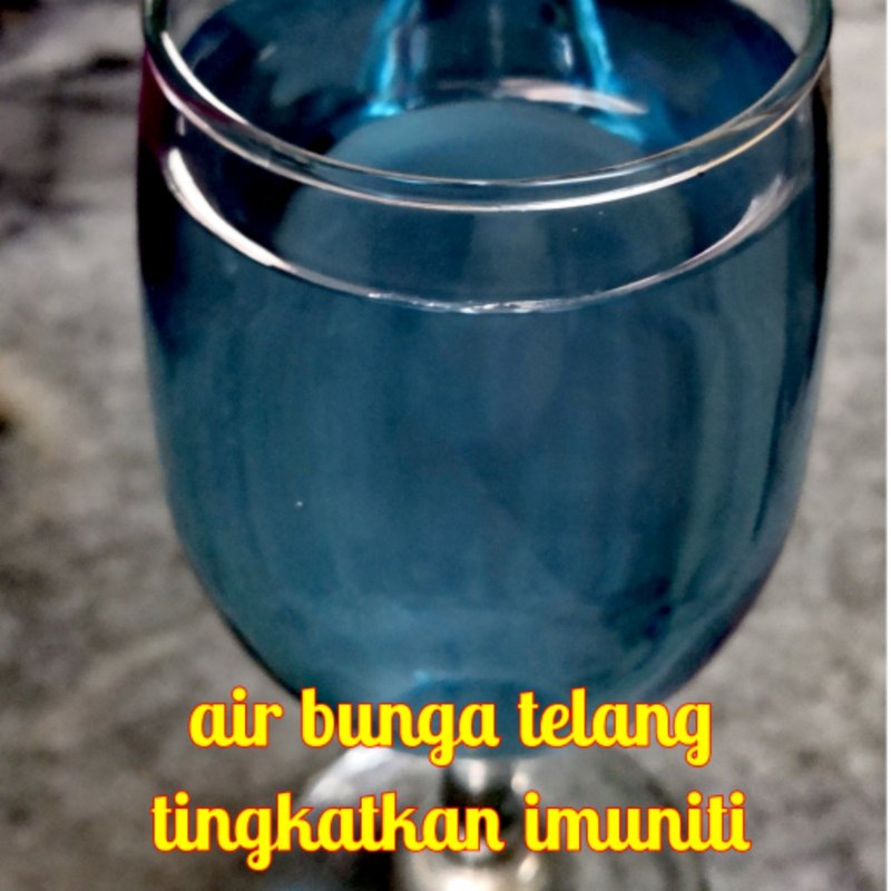 Air bunga telang